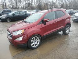 Ford Ecosport salvage cars for sale: 2019 Ford Ecosport SE