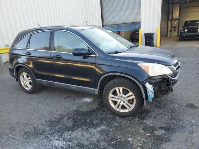 2010 Honda CR-V EXL