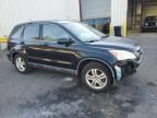 2010 Honda CR-V EXL