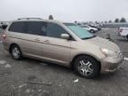 2007 Honda Odyssey EX