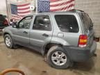 2006 Ford Escape XLT