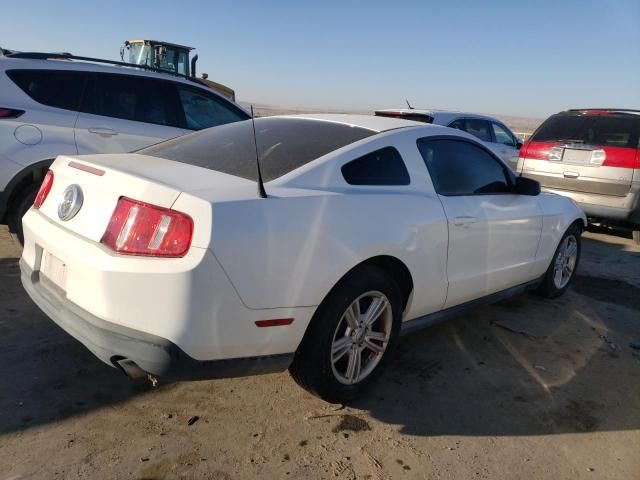 2010 Ford Mustang