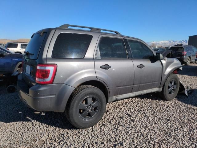 2009 Ford Escape XLT