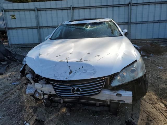 2009 Lexus ES 350