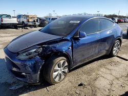 Salvage cars for sale at Indianapolis, IN auction: 2023 Tesla Model Y