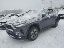 Toyota salvage cars for sale: 2024 Toyota Rav4 XLE