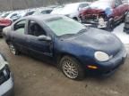 2000 Dodge Neon Base