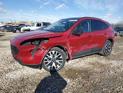 Salvage cars for sale from Copart Columbus, OH: 2020 Ford Escape SE Sport