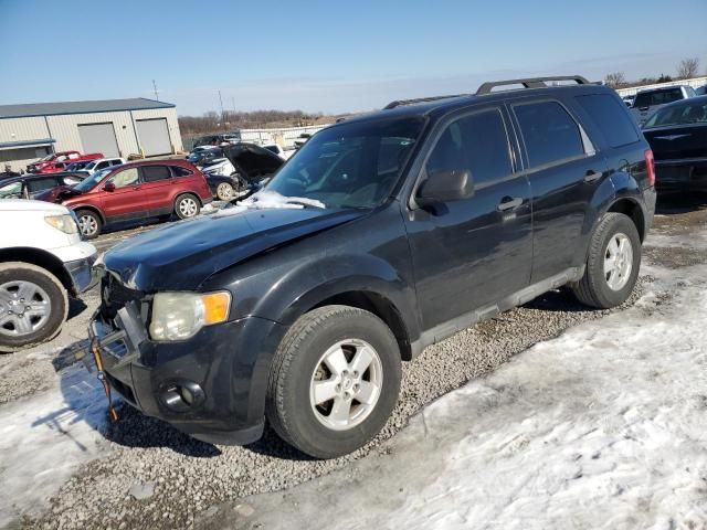 2011 Ford Escape XLT