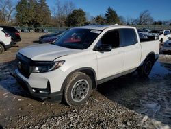 Salvage cars for sale at Madisonville, TN auction: 2024 Honda Ridgeline Black Edition