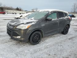 Ford Escape Vehiculos salvage en venta: 2016 Ford Escape SE