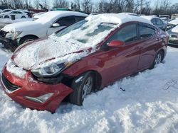 Salvage cars for sale at Baltimore, MD auction: 2015 Hyundai Elantra SE