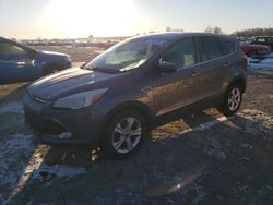 2013 Ford Escape SE en venta en Cicero, IN