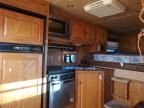 2006 Elit Horse Trailer