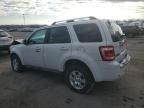 2010 Ford Escape Limited