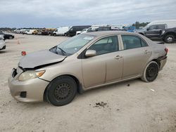 Toyota Corolla salvage cars for sale: 2009 Toyota Corolla Base