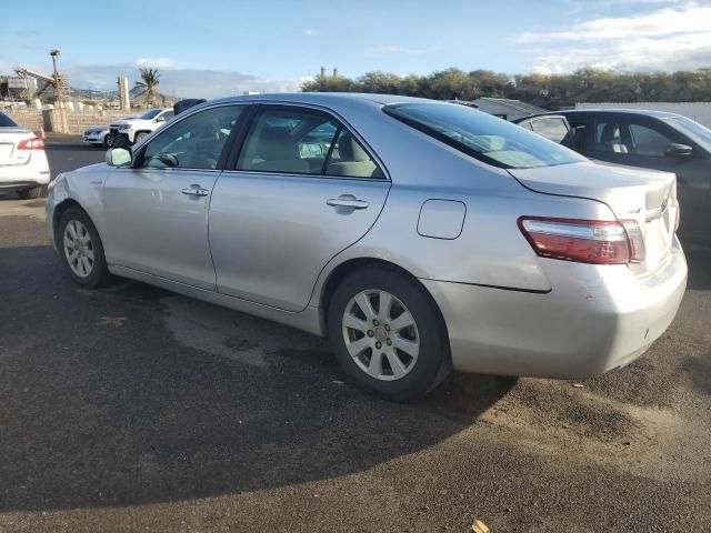 2009 Toyota Camry Hybrid