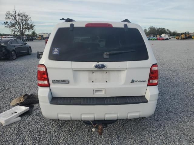 2010 Ford Escape Hybrid