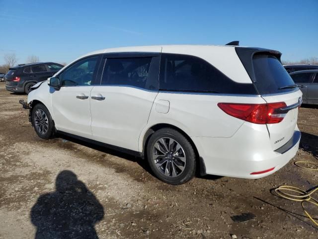 2022 Honda Odyssey EXL