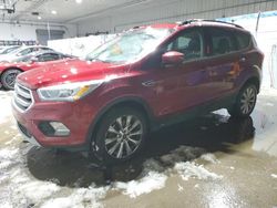 Ford Vehiculos salvage en venta: 2019 Ford Escape SEL