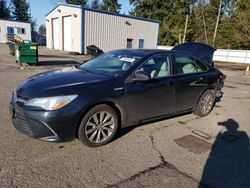 Salvage cars for sale at Arlington, WA auction: 2016 Toyota Camry Hybrid