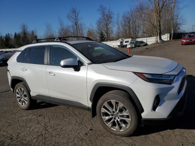 2024 Toyota Rav4 XLE Premium