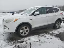 Ford Vehiculos salvage en venta: 2014 Ford Escape SE