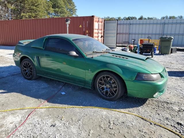 1999 Ford Mustang Cobra SVT