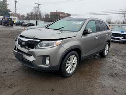 Salvage cars for sale at New Britain, CT auction: 2014 KIA Sorento EX