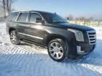 2017 Cadillac Escalade Luxury