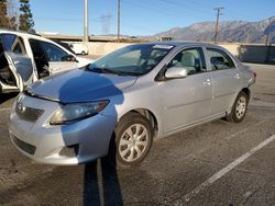 Salvage cars for sale at Rancho Cucamonga, CA auction: 2009 Toyota Corolla Base