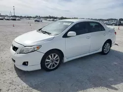 Salvage cars for sale at Arcadia, FL auction: 2010 Toyota Corolla Base