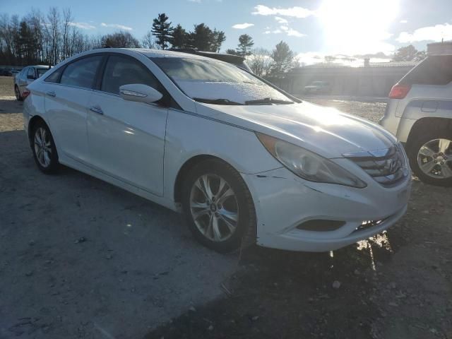 2011 Hyundai Sonata SE