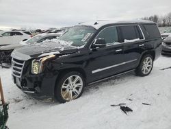 Cadillac Vehiculos salvage en venta: 2017 Cadillac Escalade Premium Luxury