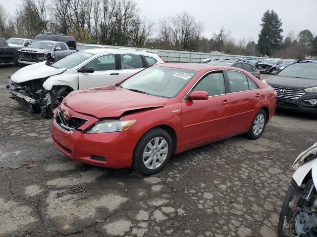 2009 Toyota Camry Hybrid