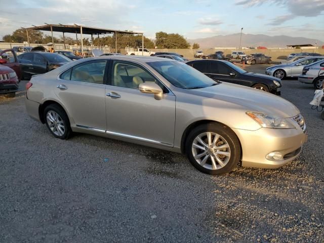 2011 Lexus ES 350