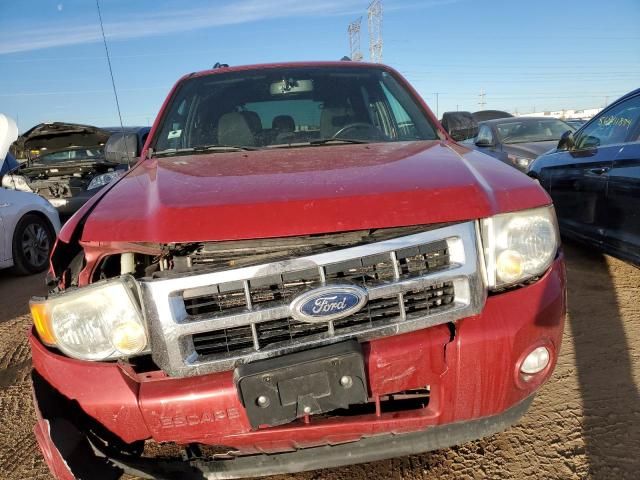 2011 Ford Escape XLT