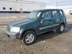 SUV salvage a la venta en subasta: 2000 Honda CR-V EX