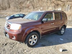 Salvage cars for sale at Marlboro, NY auction: 2009 Honda Pilot EX