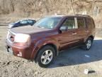 2009 Honda Pilot EX