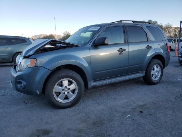 2010 Ford Escape XLT