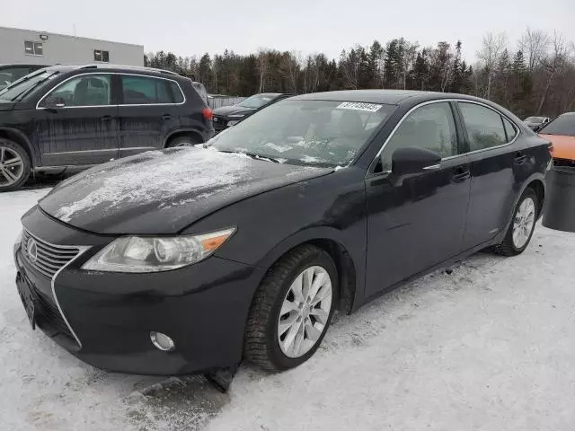 2013 Lexus ES 300H