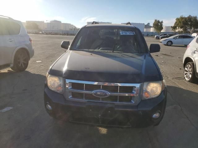 2008 Ford Escape XLT