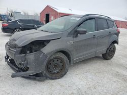 2015 Ford Escape SE en venta en London, ON