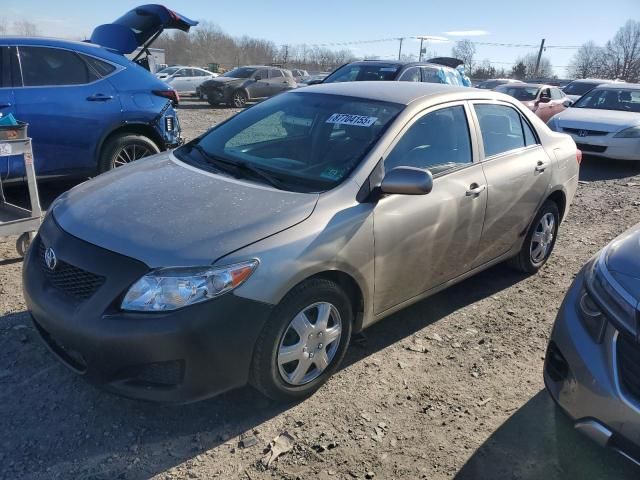 2010 Toyota Corolla Base