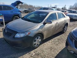 Toyota salvage cars for sale: 2010 Toyota Corolla Base