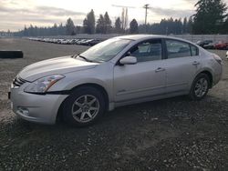 Salvage cars for sale at Graham, WA auction: 2011 Nissan Altima Hybrid