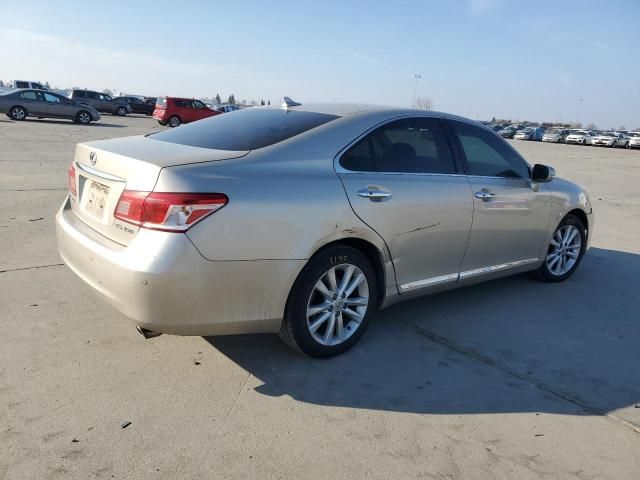 2010 Lexus ES 350