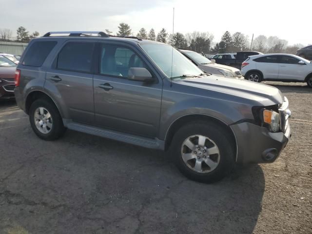 2011 Ford Escape Limited