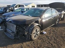 Salvage cars for sale from Copart Brighton, CO: 2017 Honda Civic EX